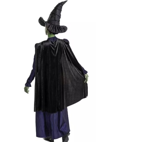 Wicked Witch Elphaba Halloween Costume 4/6 Purple Dress, Cape, Hat 3 Pc Girls - Picture 3 of 7